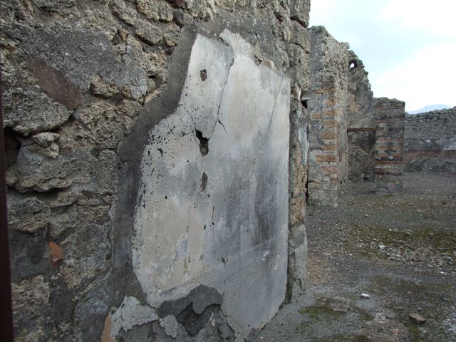 IX.2.21 Pompeii. March 2009. Room 1, remains of impluvium in atrium.