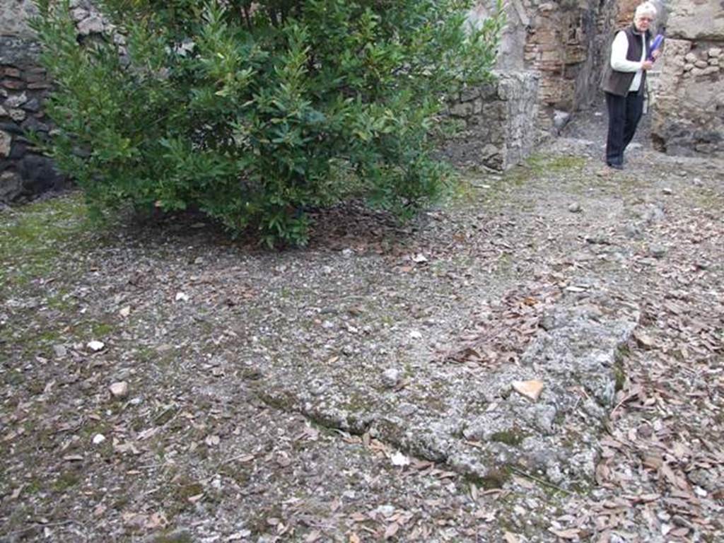 IX.2.24 Pompeii. March 2009. Remains of walls in centre of yard area