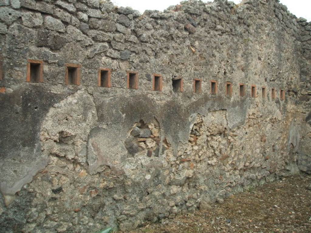 IX.2.24 Pompeii. May 2005. South wall.
