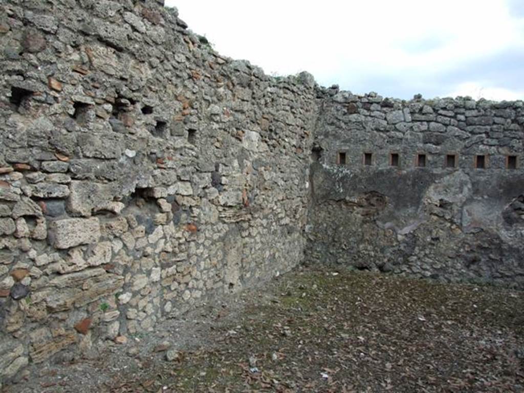 IX.2.24 Pompeii. March 2009. South east corner of yard.