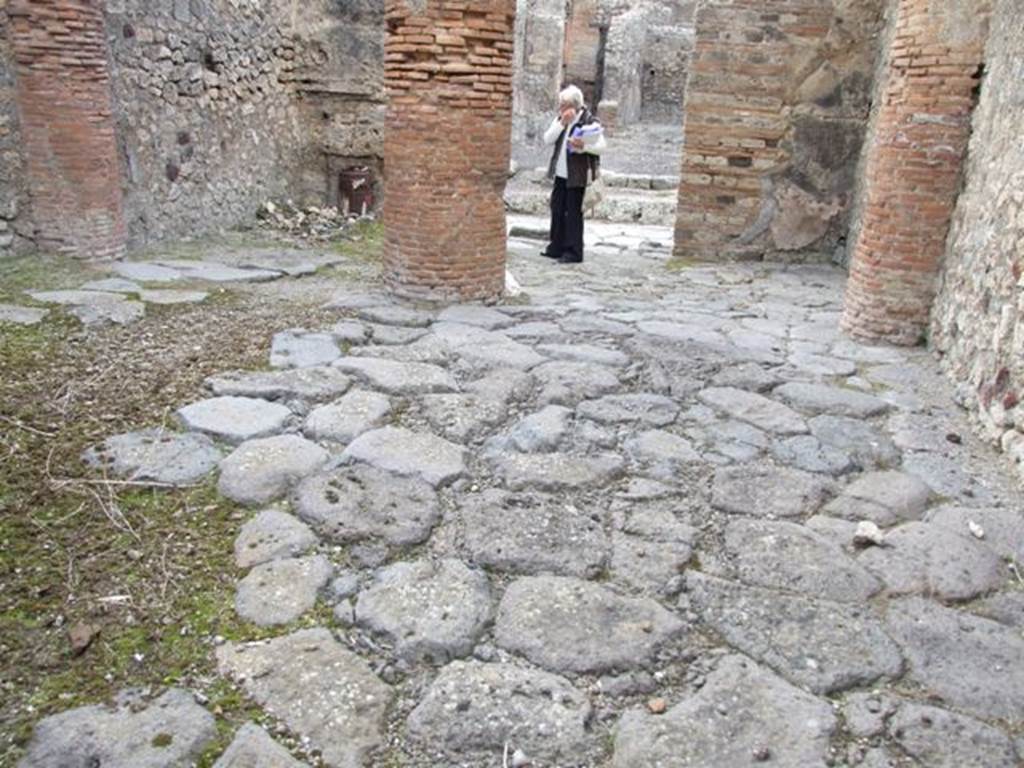 IX.2.24 Pompeii. March 2009. Looking north from rear to front entrance room.