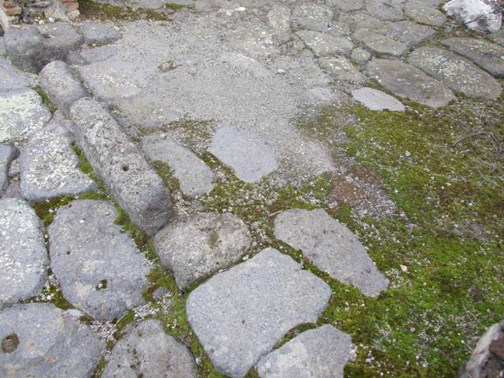 IX.2.24 Pompeii. March 2009. Ramp in doorway.
