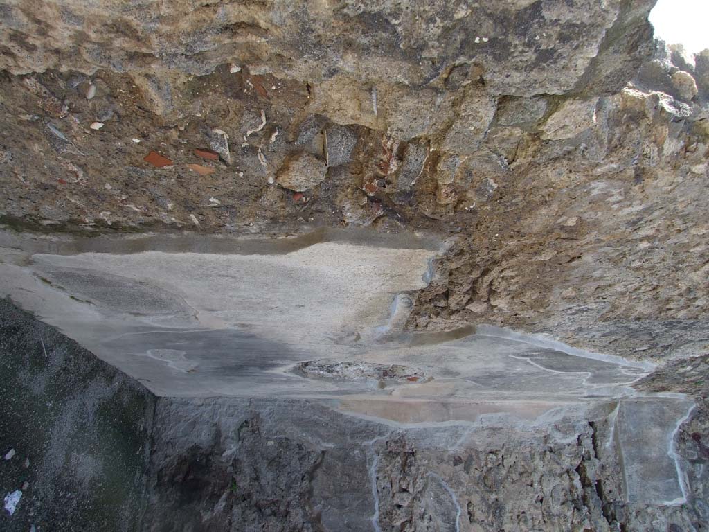 IX.3.2 Pompeii.  March 2009. Garden area.  East wall.  