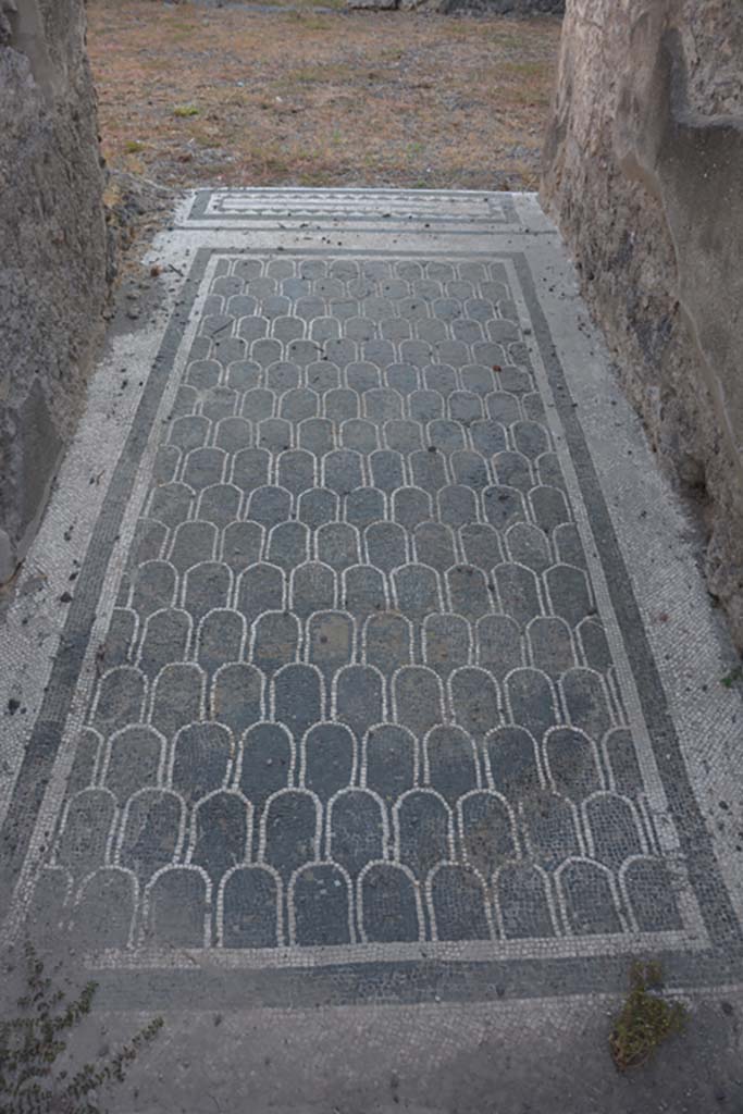 IX.3.2 Pompeii. September 2019. Looking east along mosaic in entrance corridor.
Foto Annette Haug, ERC Grant 681269 DÉCOR.