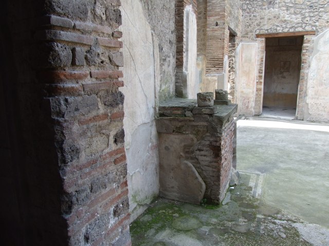 IX.3.5 Pompeii.  March 2009.  Room 3.  Impluvium in atrium.