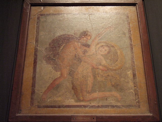 IX.3.5 Pompeii.  March 2009.  Room 22.  South east corner.
