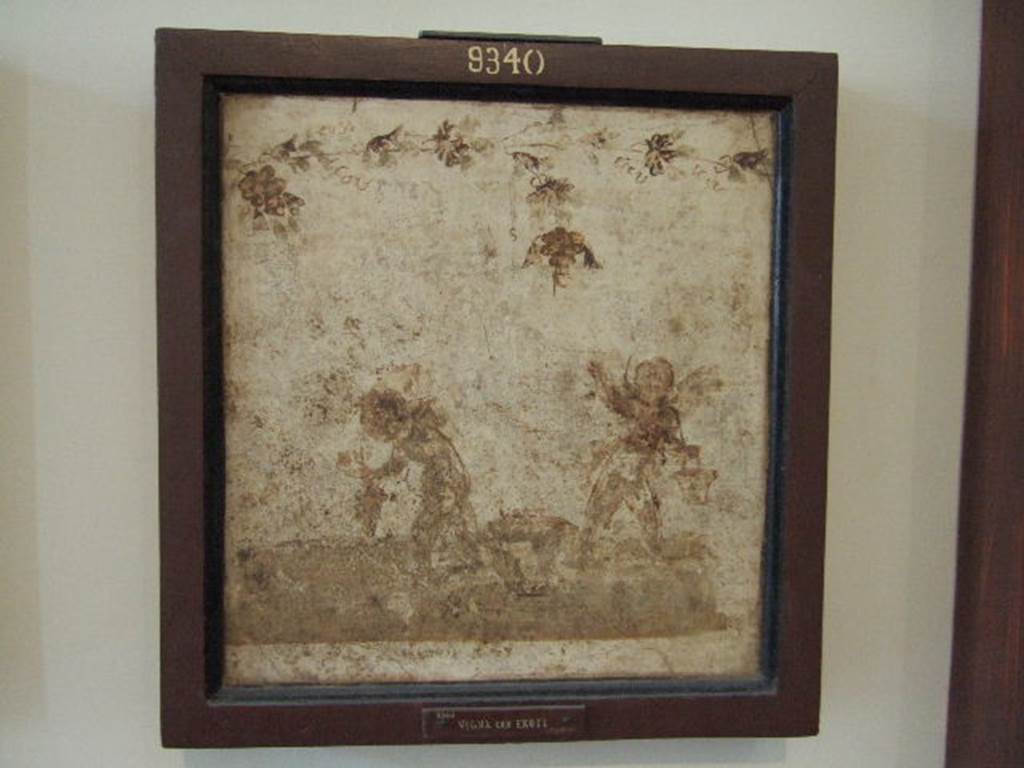 IX.3.5 Pompeii. Room 25. Wall painting of Cupids gathering grapes, found in exedra. Now in Naples Archaeological Museum. Inventory number 9340.