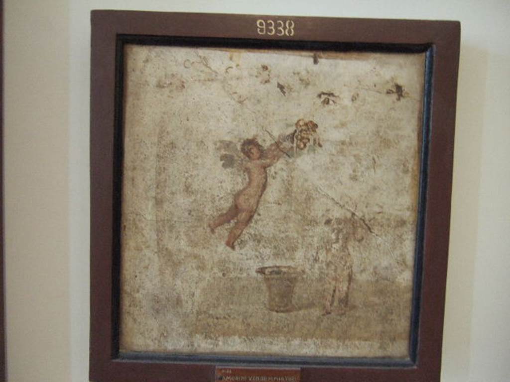 IX.3.5 Pompeii. Room 25. Wall painting of Cupids gathering grapes, found in exedra. Now in Naples Archaeological Museum. Inventory number 9338.