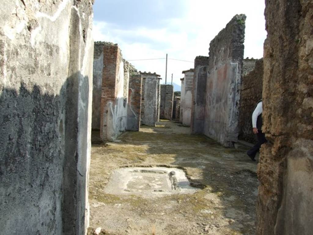 IX.3.5 Pompeii. March 2009. Looking south from fauces, across secondary atrium, to rear of IX.3.5.