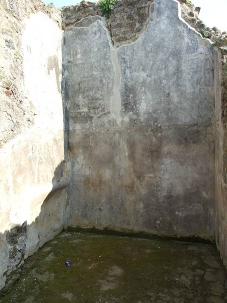 IX.3.5 Pompeii. March 2009. Room 31. South wall.