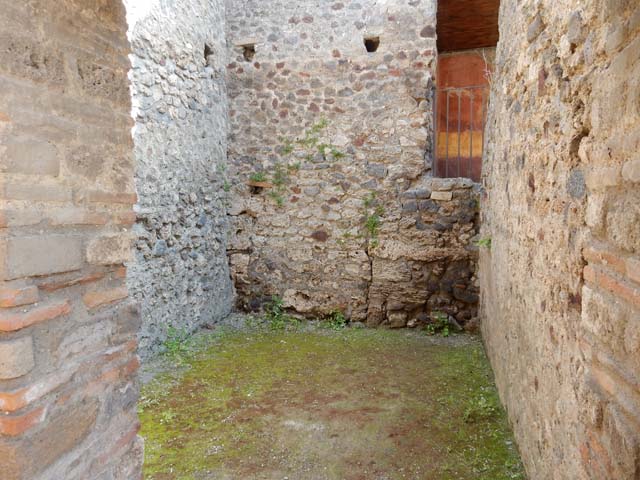 IX.3.5 Pompeii.  March 2009.  Room 8.  Latrine.  West wall.