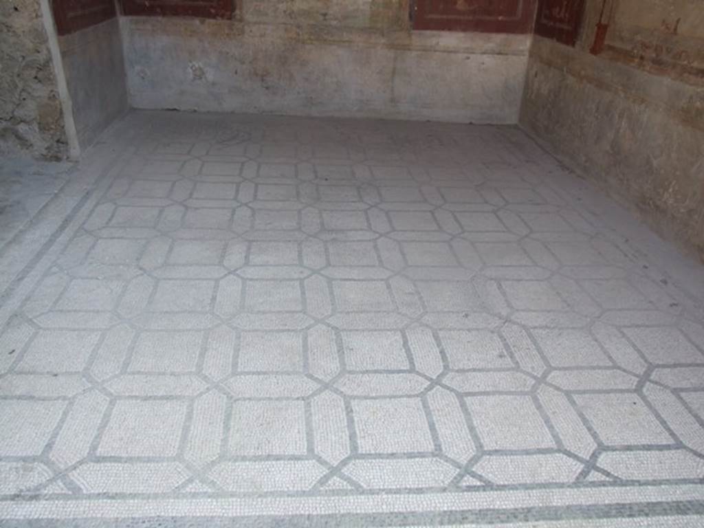 IX.3.5 Pompeii. March 2009. Room 13. Mosaic floor.