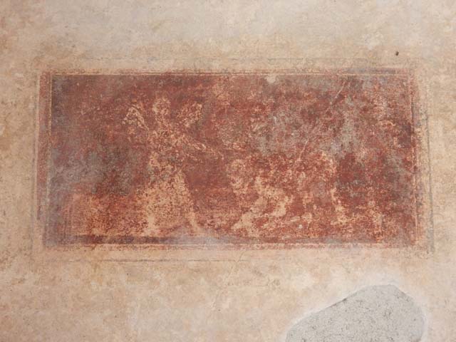 IX.3.5 Pompeii.  March 2009. Room 16.  South wall.