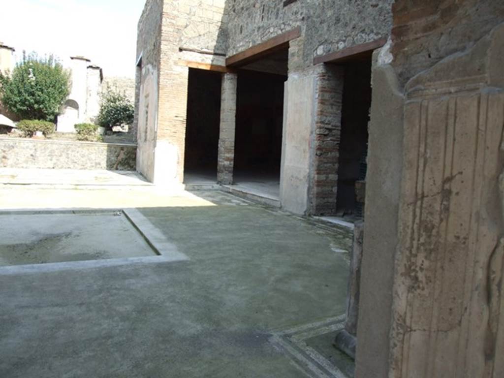 IX.3.5 Pompeii. March 2009. Room 3. Atrium. South side.