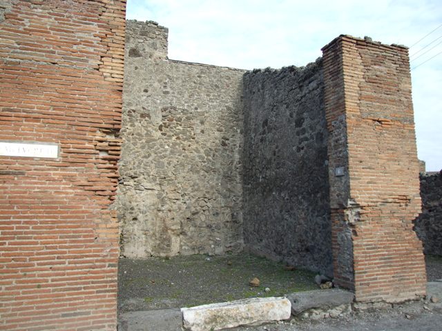 IX.3.6 Pompeii. March 2009. South wall.