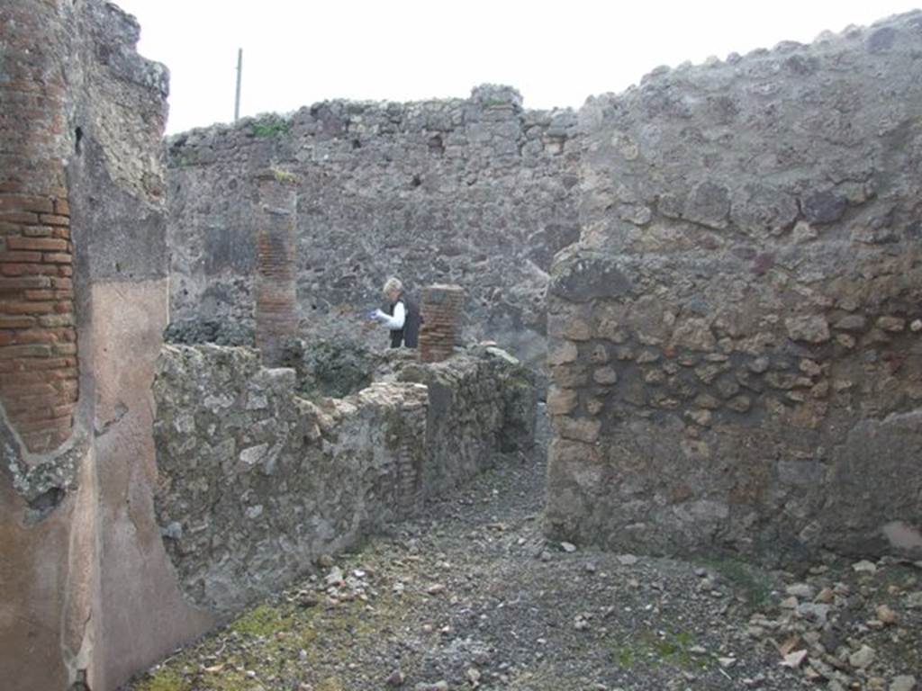 IX.3.15 Pompeii. March 2009. Room 14, south wall of triclinium, overlooking garden through remains of window. According to Jashemski, �Later part of the north portico was closed in to make a windowed triclinium�.  
See Jashemski, W. F., 1993. The Gardens of Pompeii, Volume II: Appendices. New York: Caratzas. (p.234, no.481).

  
