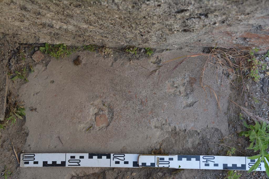 IX.5.2 Pompeii. May 2017. Room �L�, detail of flooring at north end of west side, looking north.
Foto Christian Beck, ERC Grant 681269 D�COR.

