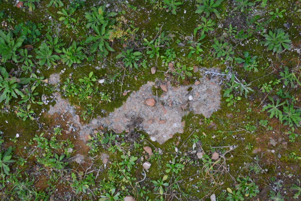 IX.5.2 Pompeii. March 2017. Room �L�, flooring.
Foto Christian Beck, ERC Grant 681269 D�COR.
