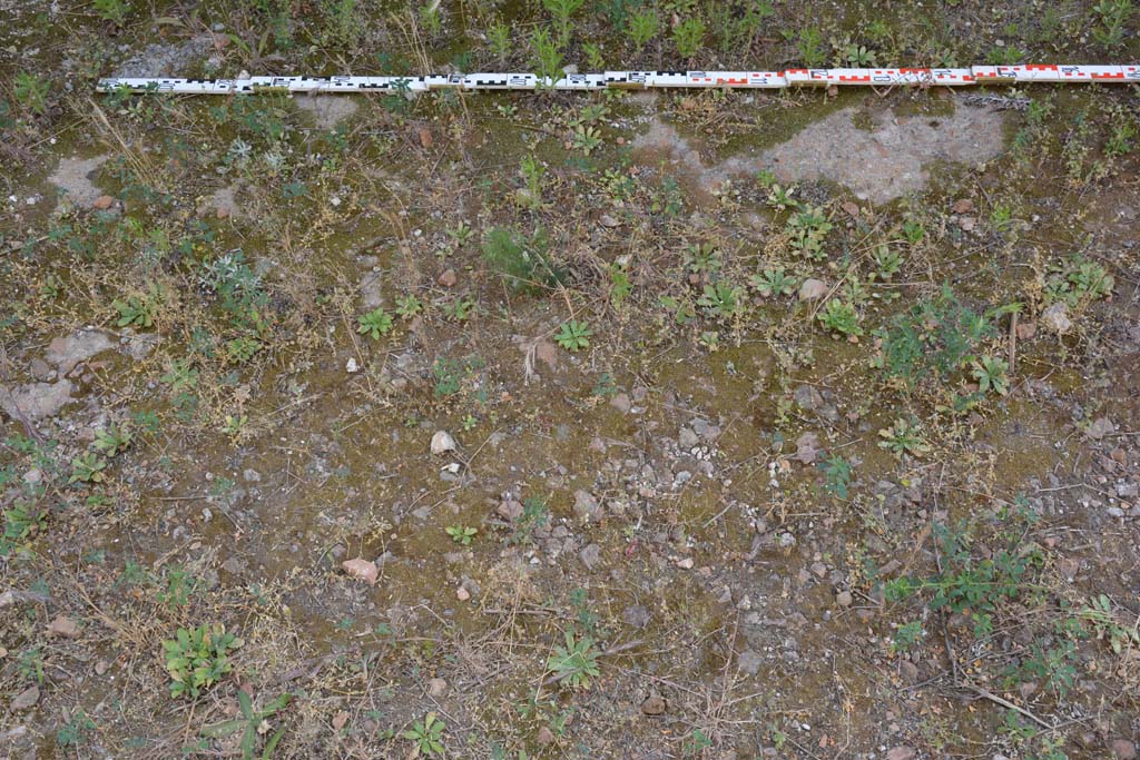 IX.5.2 Pompeii. March 2017. Room �L�, flooring from near west wall.
Foto Christian Beck, ERC Grant 681269 D�COR.
