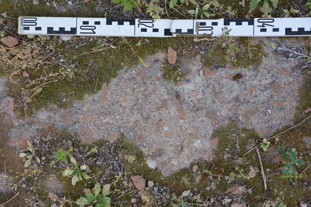 IX.5.2 Pompeii. May 2017. Room �L�, flooring.
Foto Christian Beck, ERC Grant 681269 D�COR.
