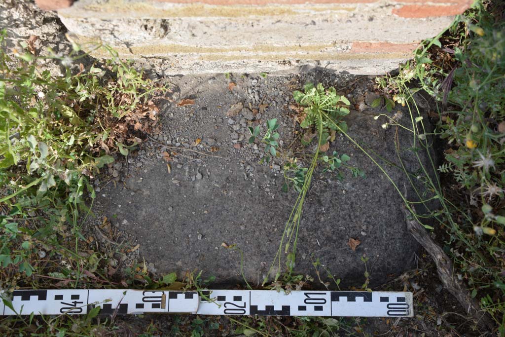 IX.5.2 Pompeii. May 2017. Room �L�, detail from doorway threshold near east wall at south end of tablinum.
Foto Christian Beck, ERC Grant 681269 D�COR.

