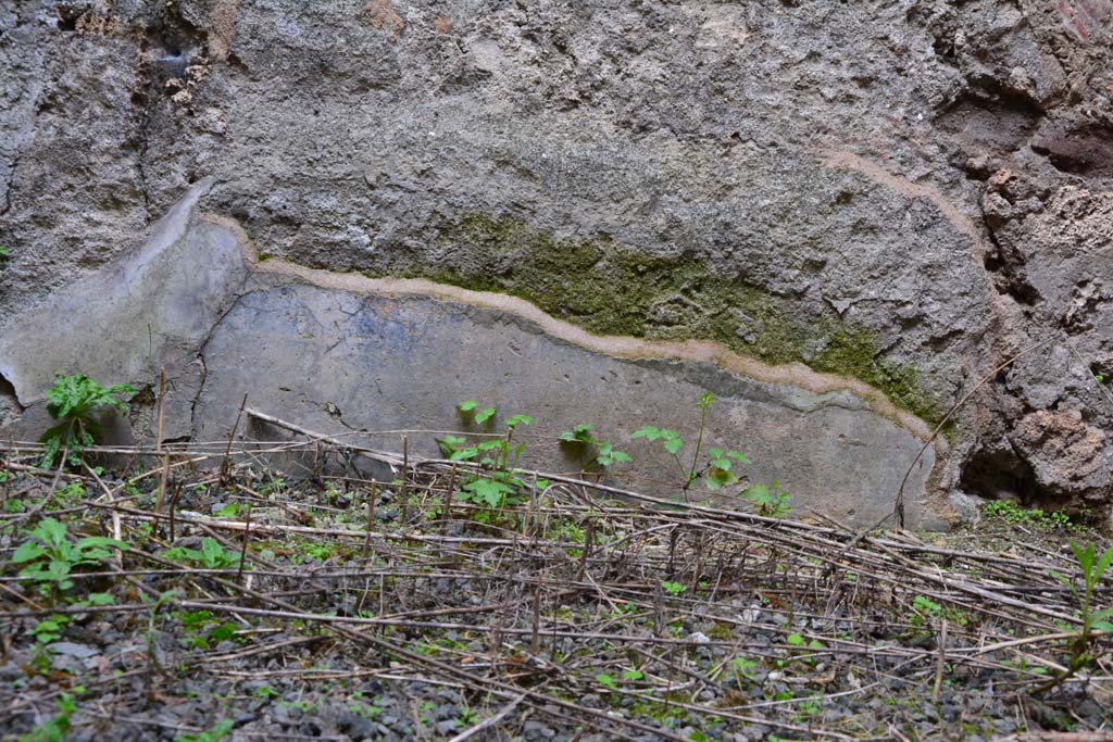 IX.5.2 Pompeii. March 2017. Room �n�, detail from lower north wall.
Foto Christian Beck, ERC Grant 681269 D�COR.

