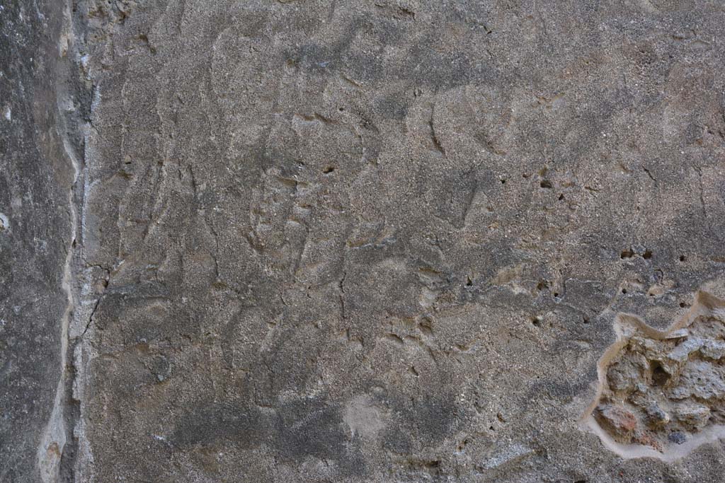 IX.5.2 Pompeii. May 2017. Room �r�, detail from north wall.
Foto Christian Beck, ERC Grant 681269 D�COR.
