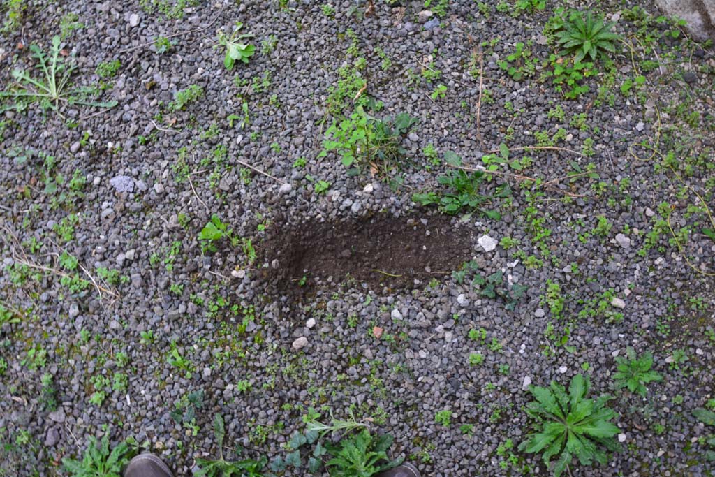 IX.5.2 Pompeii. March 2017. Room �r�, floor.
Foto Christian Beck, ERC Grant 681269 D�COR.

