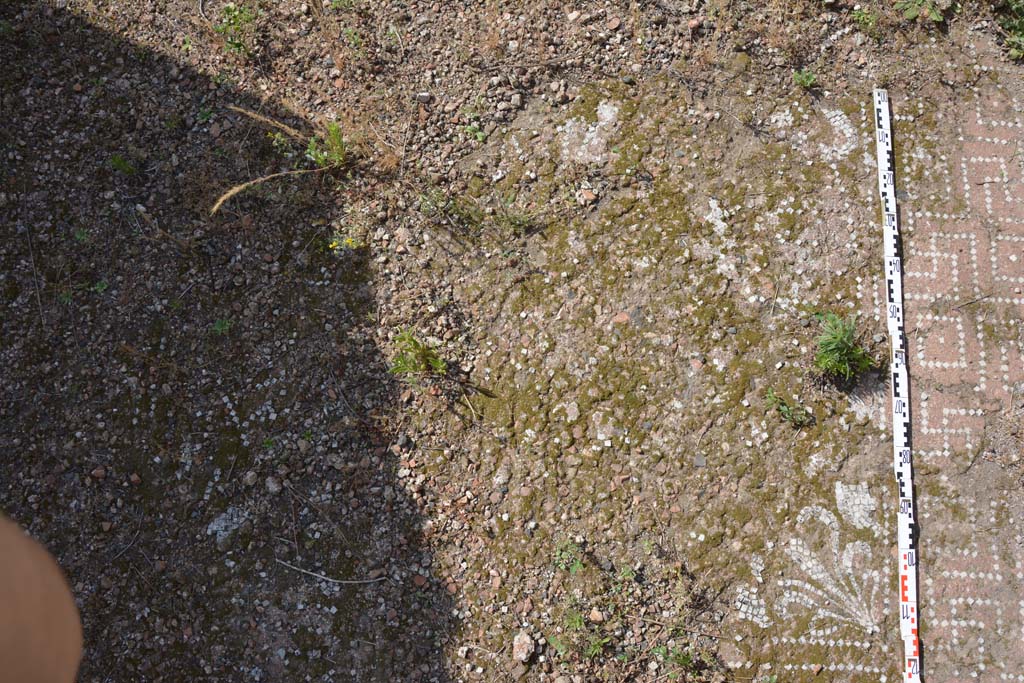 IX.5.2 Pompeii. May 2017. Room �k�, detail of flooring, looking north on east side..
Foto Christian Beck, ERC Grant 681269 D�COR.

