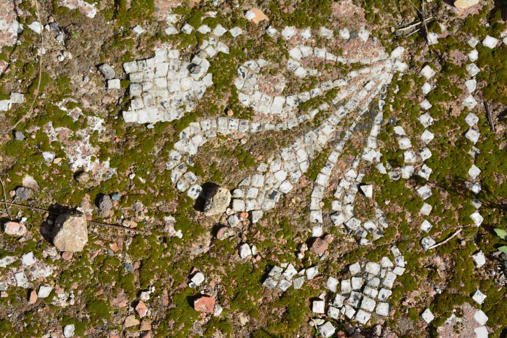 IX.5.2 Pompeii. March 2017. Room �k�, detail from east side of tablinum.
Foto Christian Beck, ERC Grant 681269 D�COR.
