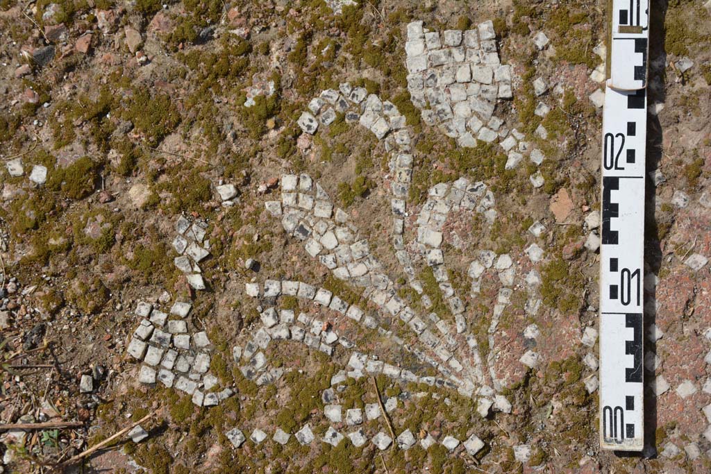 IX.5.2 Pompeii. May 2017. Room �k�, detail of flooring from east side of tablinum.
Foto Christian Beck, ERC Grant 681269 D�COR.

