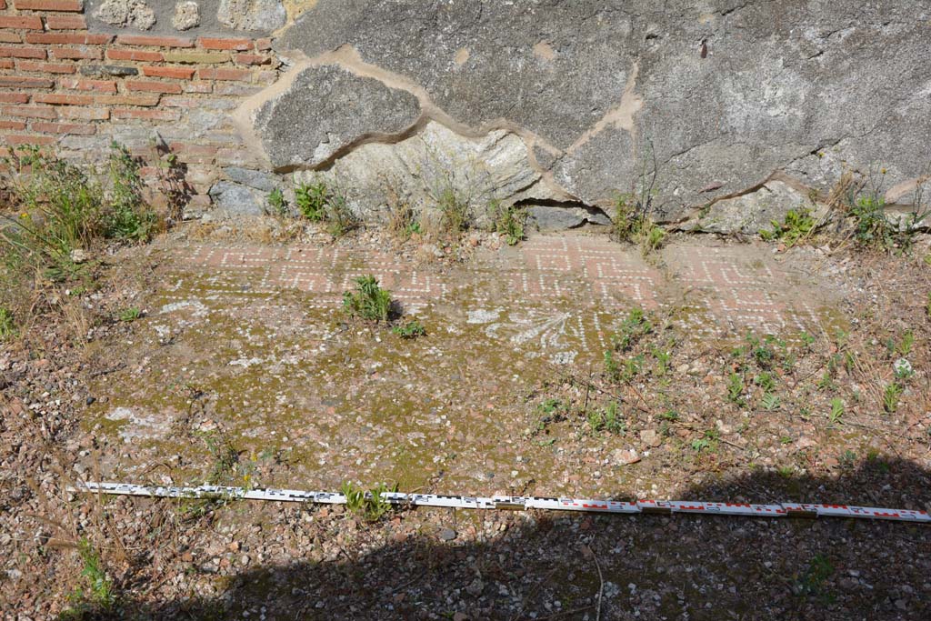 IX.5.2 Pompeii. May 2017. Room �k�, detail of flooring looking towards east wall.
Foto Christian Beck, ERC Grant 681269 D�COR.

