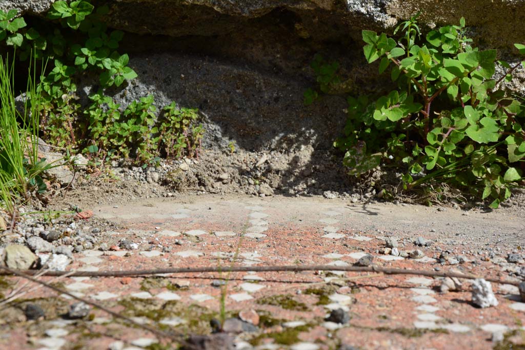 IX.5.2 Pompeii. March 2017. Room �k�, detail from east side of tablinum.
Foto Christian Beck, ERC Grant 681269 D�COR.
