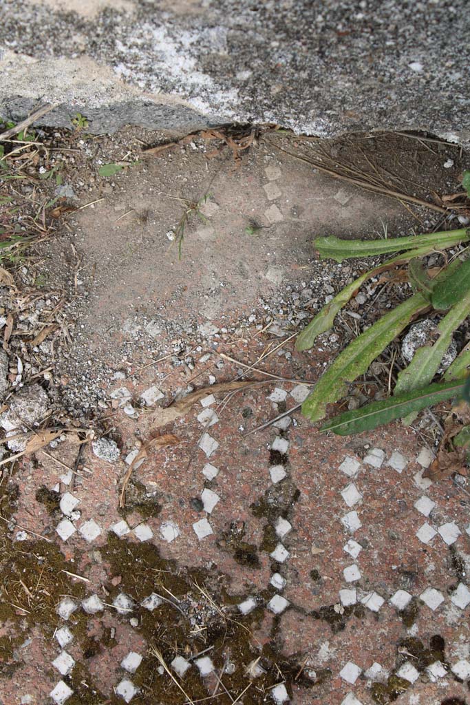 IX.5.2 Pompeii. May 2019. Room �k�, meanders.
Foto Christian Beck, ERC Grant 681269 D�COR.
