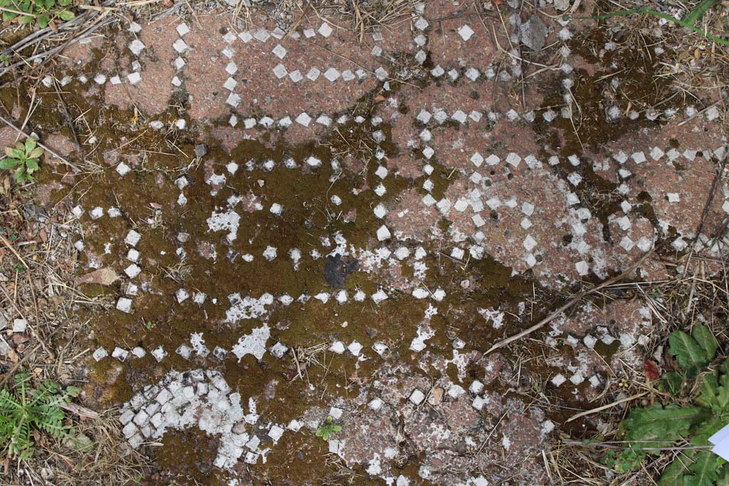 IX.5.2 Pompeii. May 2019. Room �k�, meanders.
Foto Christian Beck, ERC Grant 681269 D�COR.


