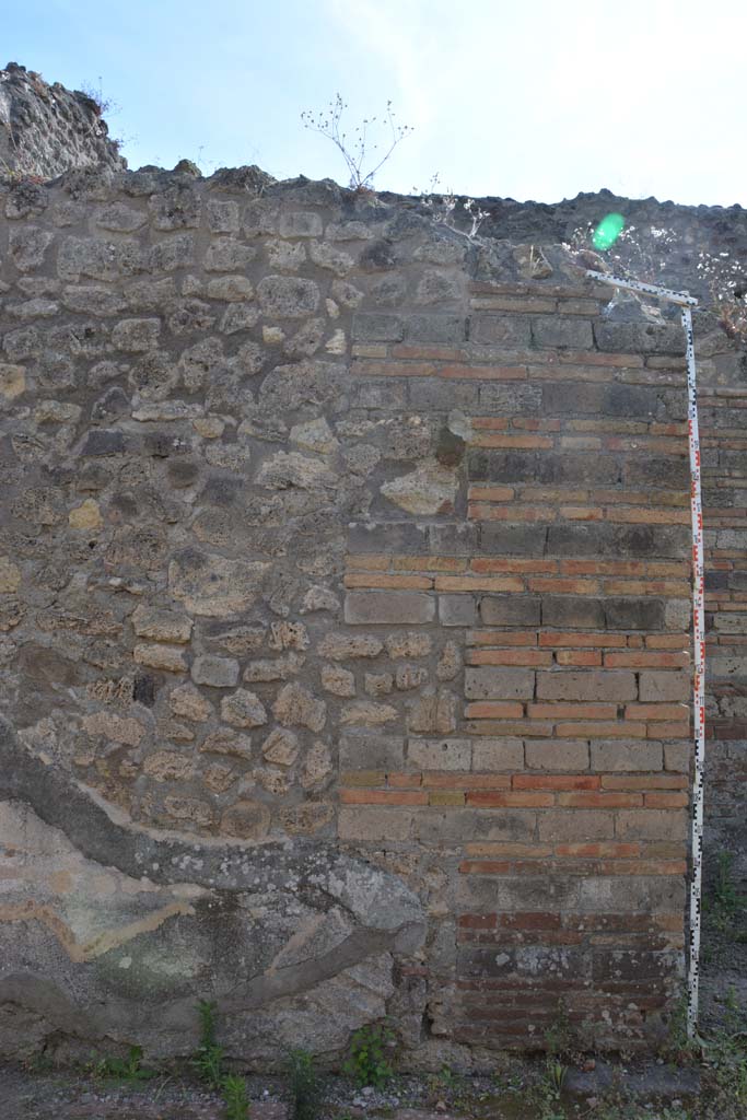 IX.5.2 Pompeii. May 2017. Room �k�, detail from west wall of tablinum at north end.
Foto Christian Beck, ERC Grant 681269 D�COR.
