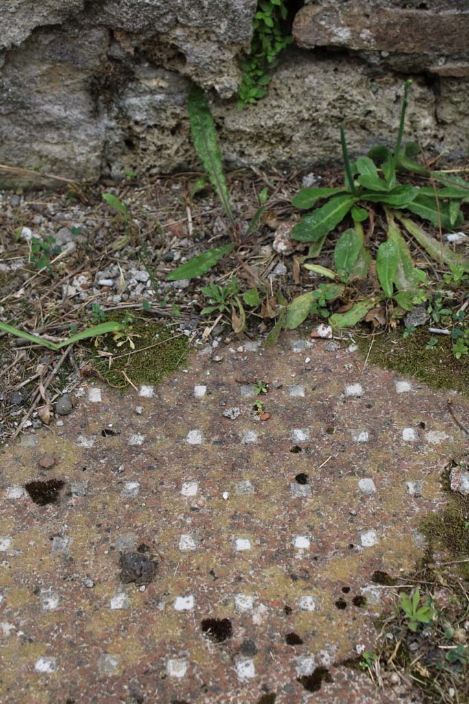 IX.5.2 Pompeii. May 2019. Room �k�, flooring.
Foto Christian Beck, ERC Grant 681269 D�COR.

