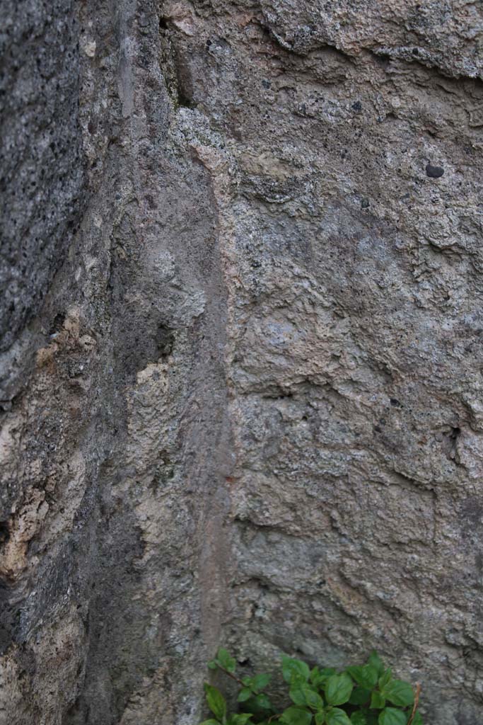 IX.5.4 Pompeii. March 2019. Room d, lower south-east corner.
Foto Christian Beck, ERC Grant 681269 D�COR.

