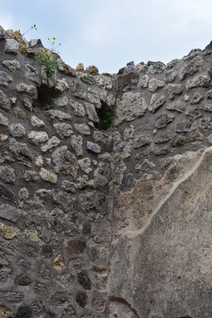IX.5.4 Pompeii. March 2017. Room d, detail from upper north-west corner.
Foto Christian Beck, ERC Grant 681269 D�COR.

