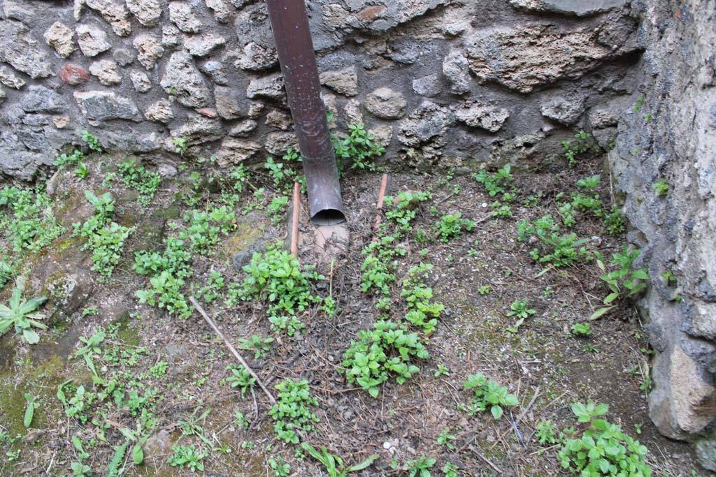 IX.5.4 Pompeii. March 2019. Room e, detail from lower west wall.
Foto Christian Beck, ERC Grant 681269 D�COR.
