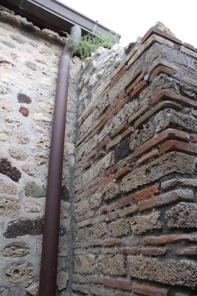 IX.5.4 Pompeii. March 2019. Room e, south side of pilaster against west wall.
Foto Christian Beck, ERC Grant 681269 D�COR.

