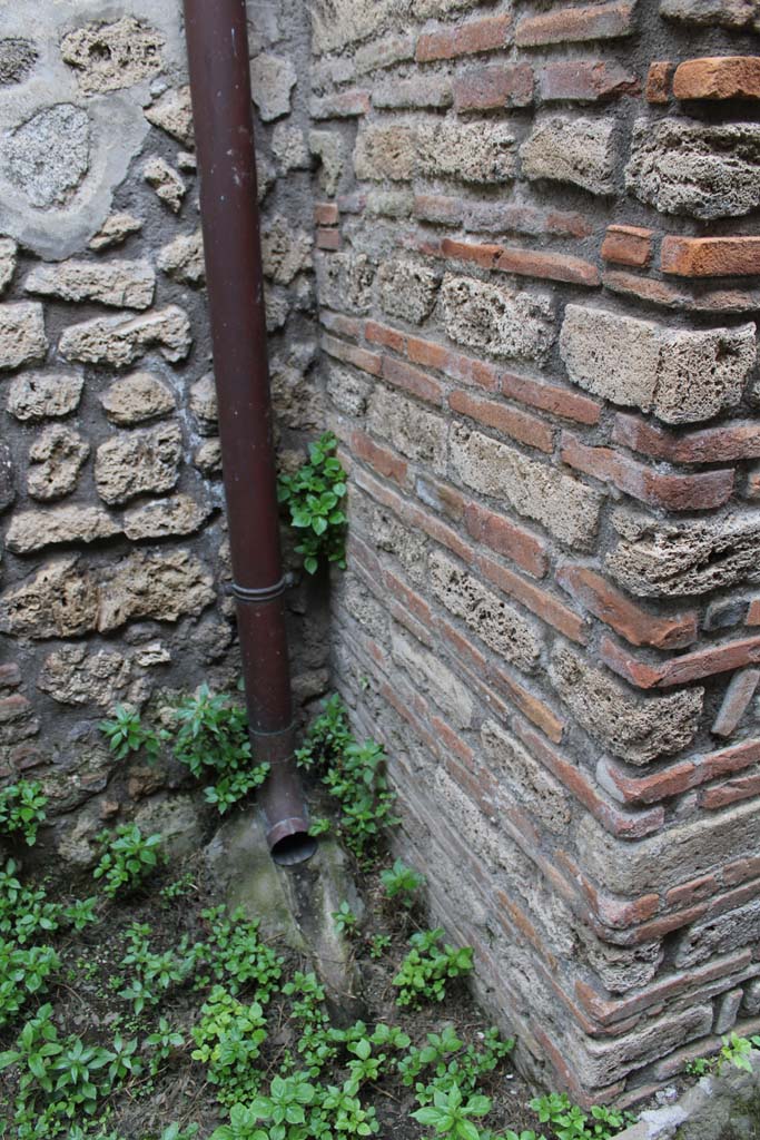 IX.5.4 Pompeii. March 2019. Room e, lower south side of pilaster.
Foto Christian Beck, ERC Grant 681269 D�COR.
