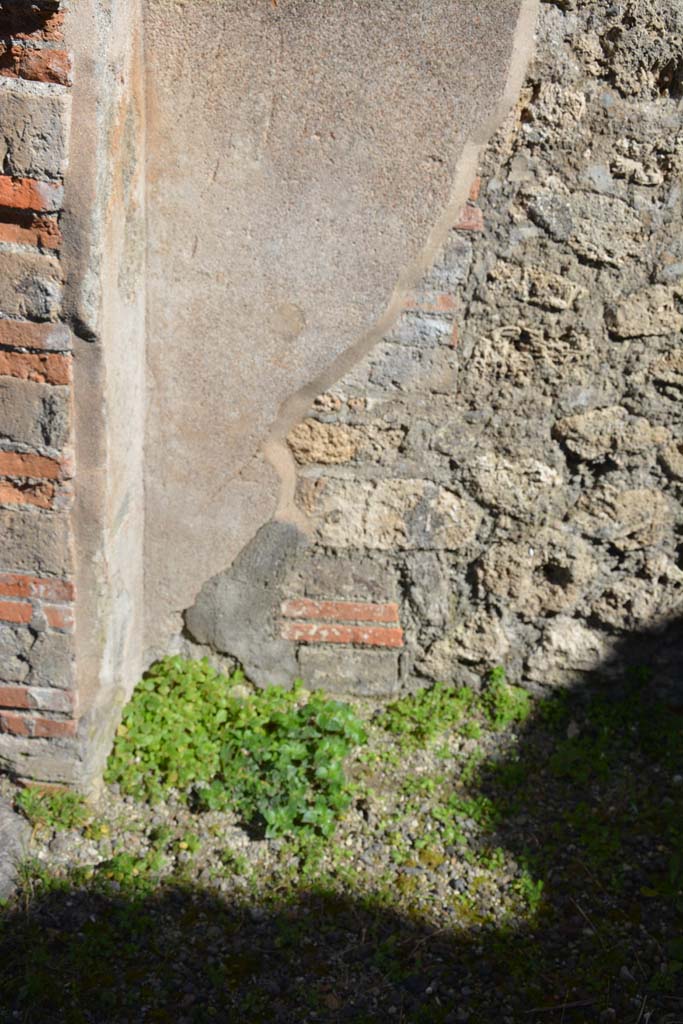 IX.5.5, Pompeii. March 2017. Detail from east wall in north-east corner.
Foto Christian Beck, ERC Grant 681269 DÉCOR.