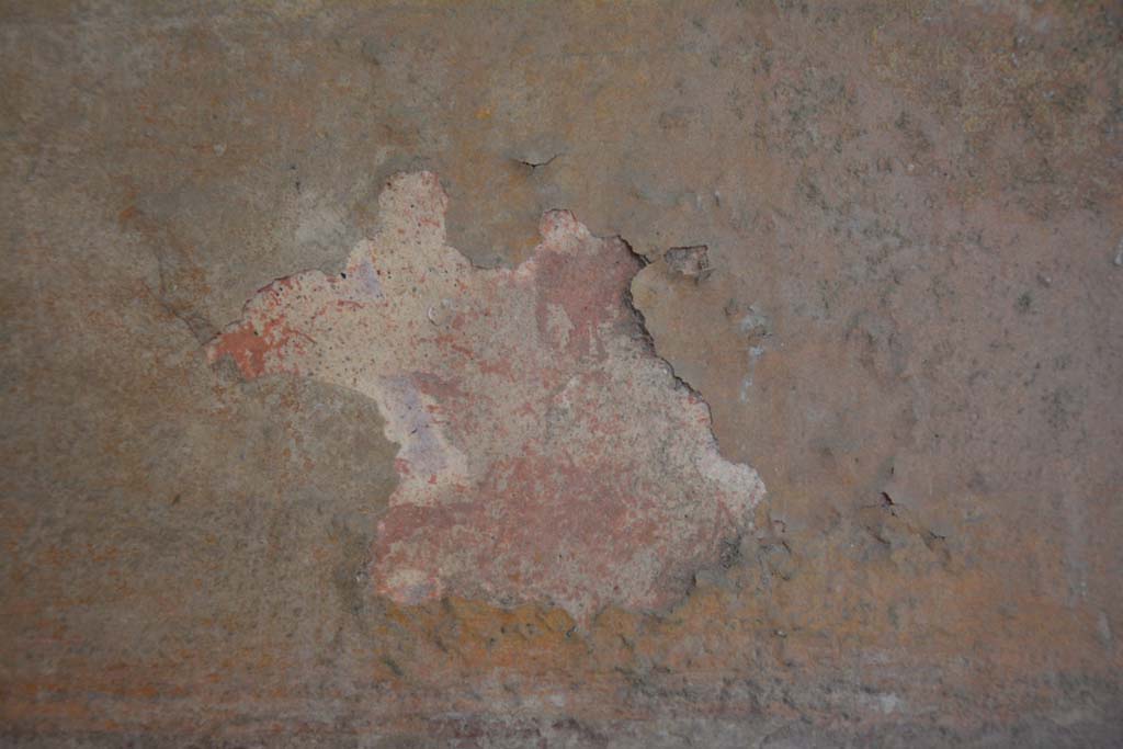 IX.5.6 Pompeii. May 2017. Room i, detail from lower middle panel on north wall in north-west corner. 
Foto Christian Beck, ERC Grant 681269 D�COR.

