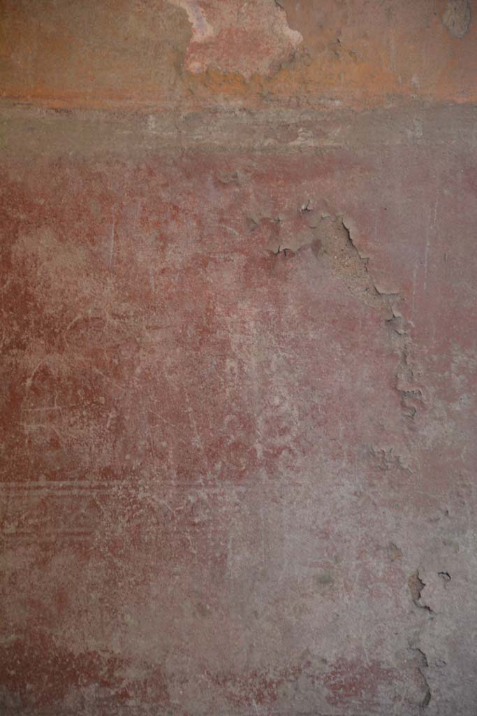 IX.5.6 Pompeii. May 2017. Room i, detail of painted decoration on zoccolo on north wall.
Foto Christian Beck, ERC Grant 681269 D�COR.
