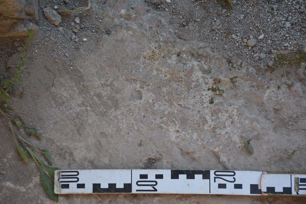 IX.5.6 Pompeii. May 2017. Room p, flooring in kitchen.
Foto Christian Beck, ERC Grant 681269 D�COR.
