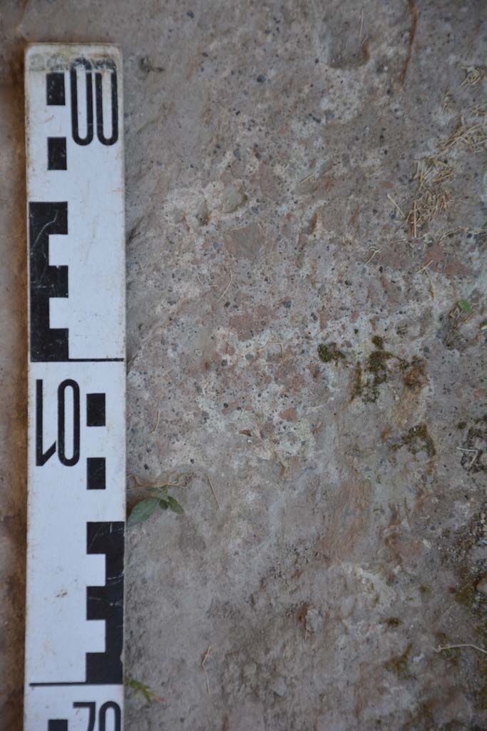 IX.5.6 Pompeii. May 2017. Room p, detail of flooring.
Foto Christian Beck, ERC Grant 681269 D�COR.

