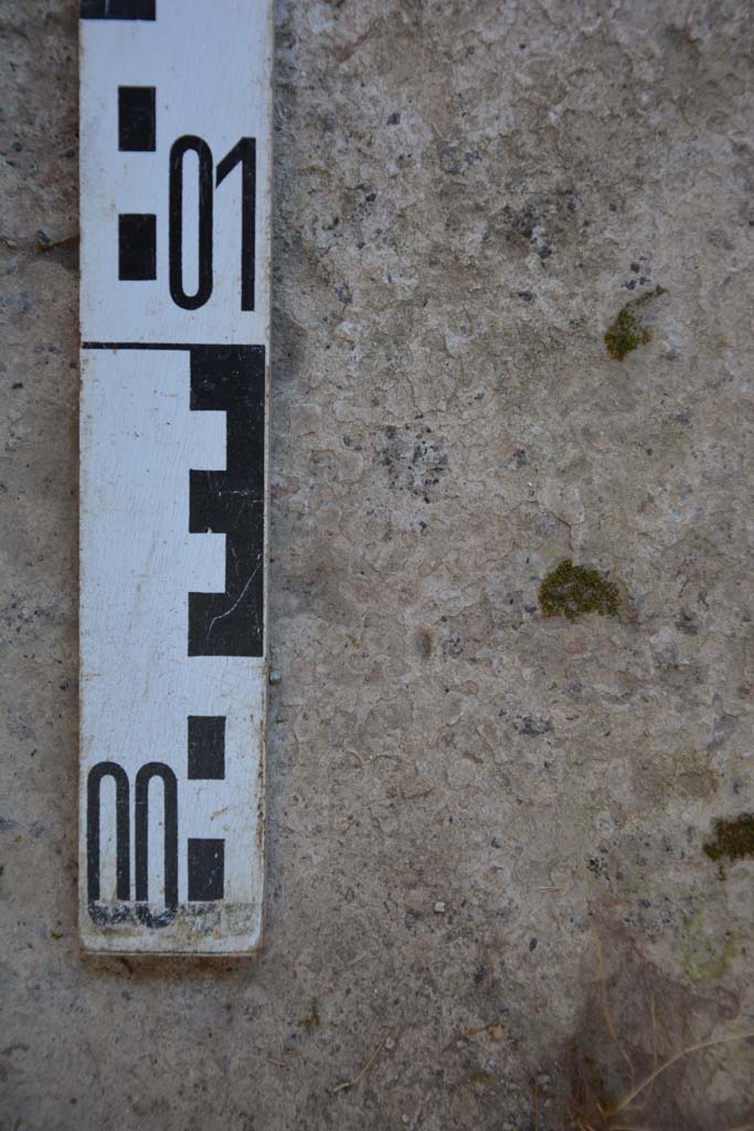 IX.5.6 Pompeii. May 2017. Room t, detail from flooring.
Foto Christian Beck, ERC Grant 681269 D�COR.

