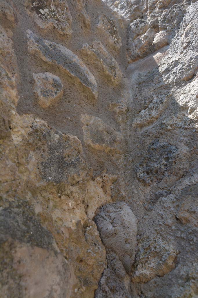 IX.5.6 Pompeii. May 2017. Room t, upper south-west corner.
Foto Christian Beck, ERC Grant 681269 D�COR.
