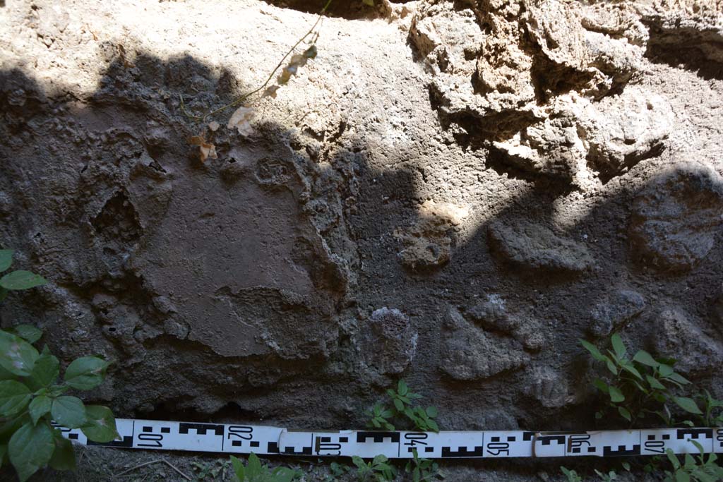 IX.5.6 Pompeii. May 2017. Room t, lower north wall at west end.
Foto Christian Beck, ERC Grant 681269 D�COR.
